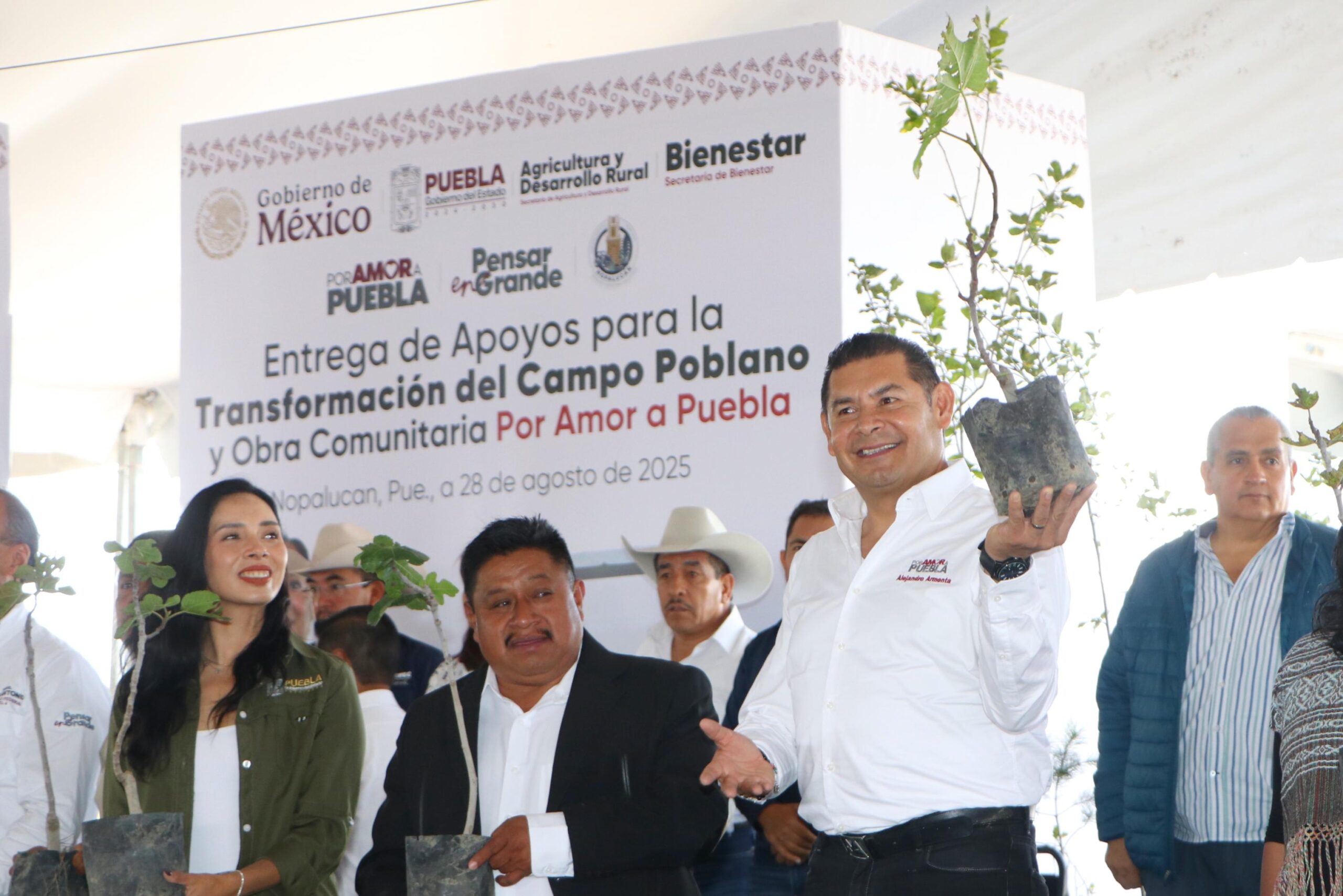 Gobierno de Puebla impulsa el campo en Nopalucan con apoyos y reforestación_foto2
