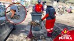 Gobierno refuerza limpieza de alcantarillas ante temporada de lluvias