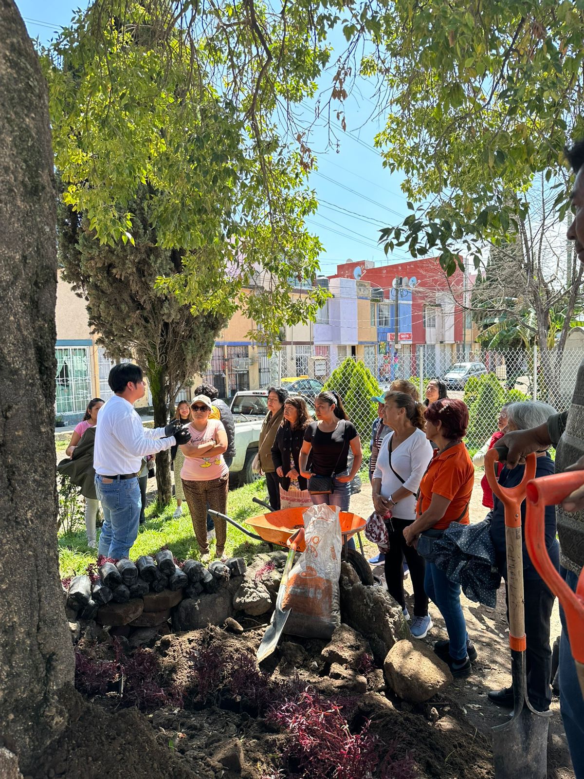 Puebla siembra futuro con más de 500 nuevos árboles