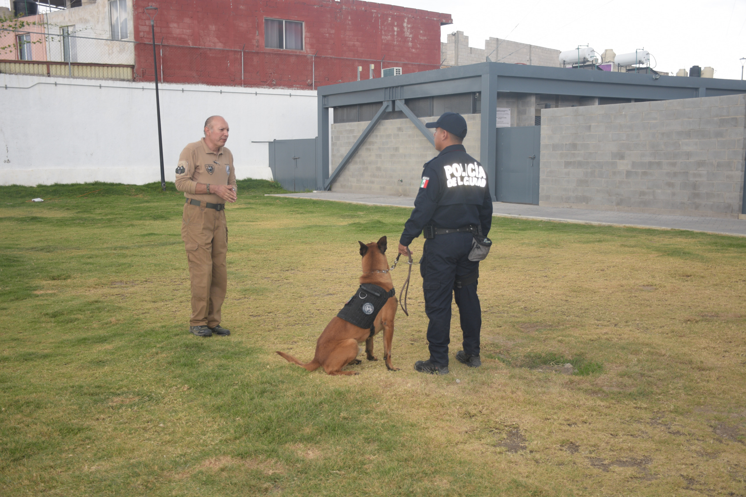 Unidad Canina K9 de Puebla recibe certificación internacional perro