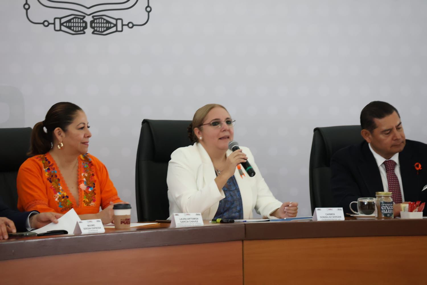 Centros LIBRE y Casas Carmen Serdán, puentes de esperanza