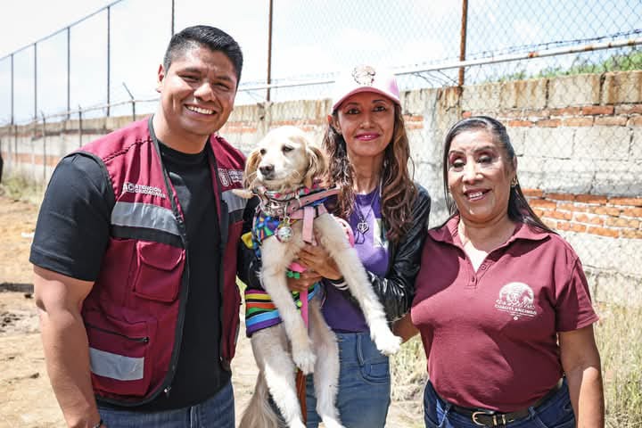 Cuautlancingo inicia construcción de Centro de Bienestar Animal