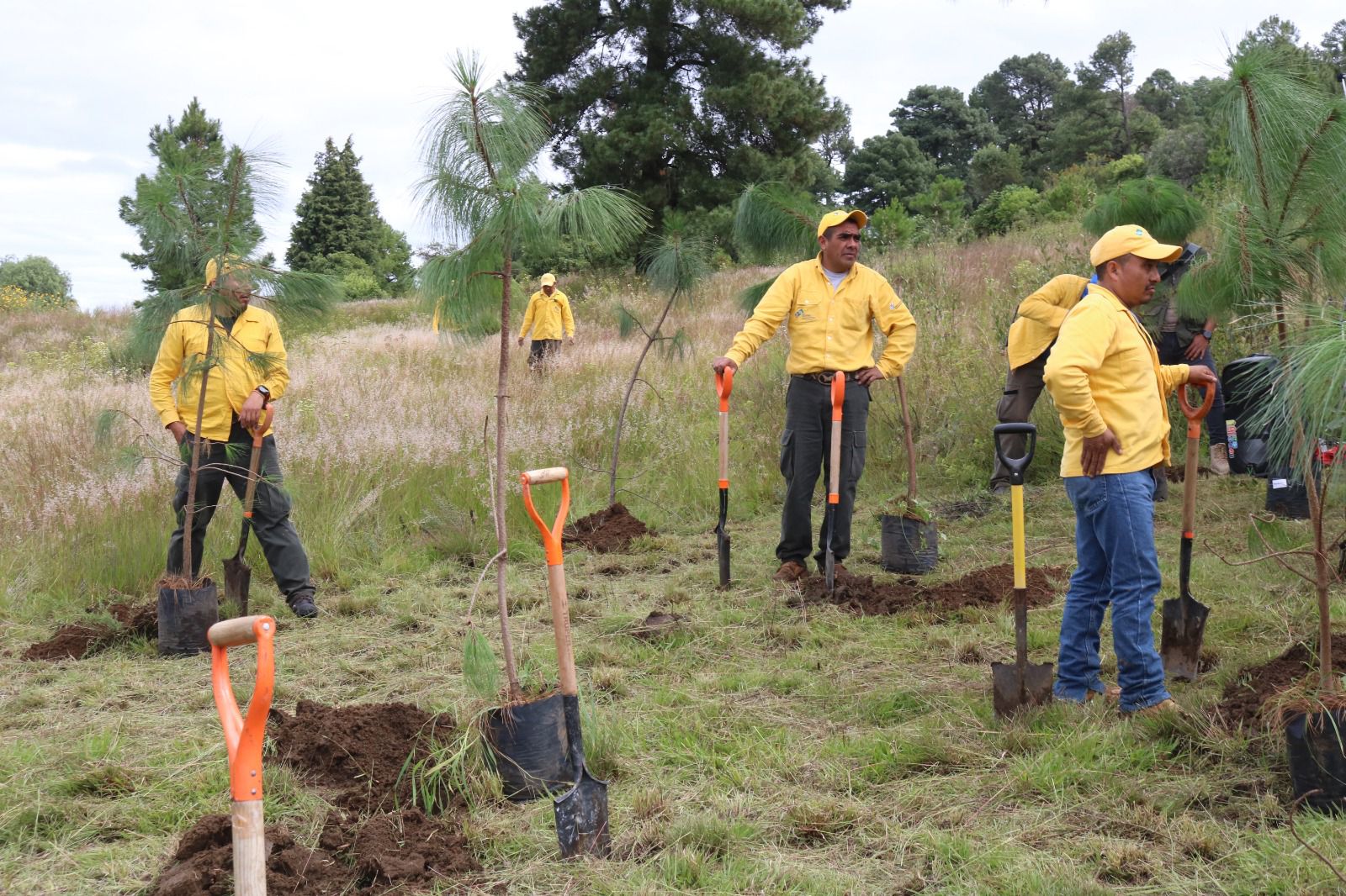 Puebla impulsa el rescate de La Malinche con el Ecoparque Tlalli campo
