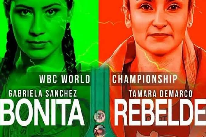 Gaby “La Bonita” Sánchez pide licencia para buscar título mundial
