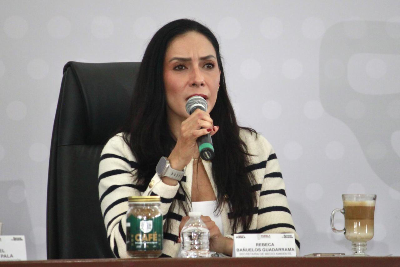 Puebla refuerza saneamiento forestal y ambiental