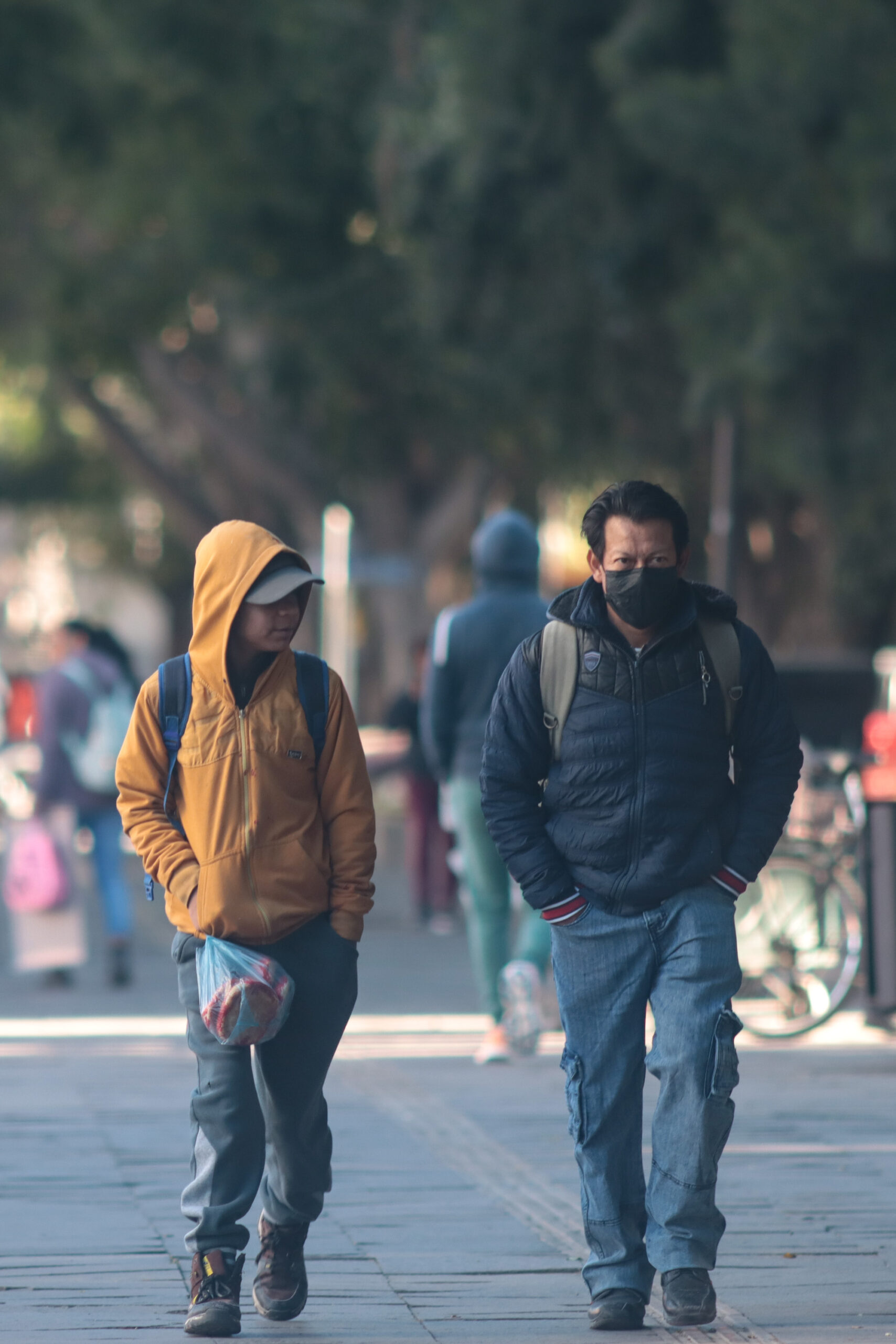 Temporada de Frentes Fríos 2025-2026