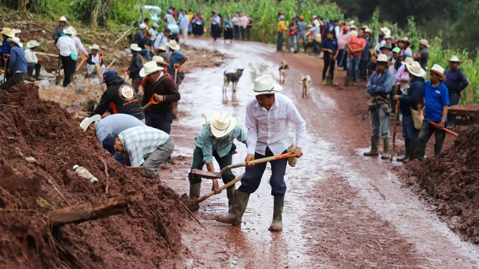 Atienden afectaciones por lluvias en 16 municipios poblanos