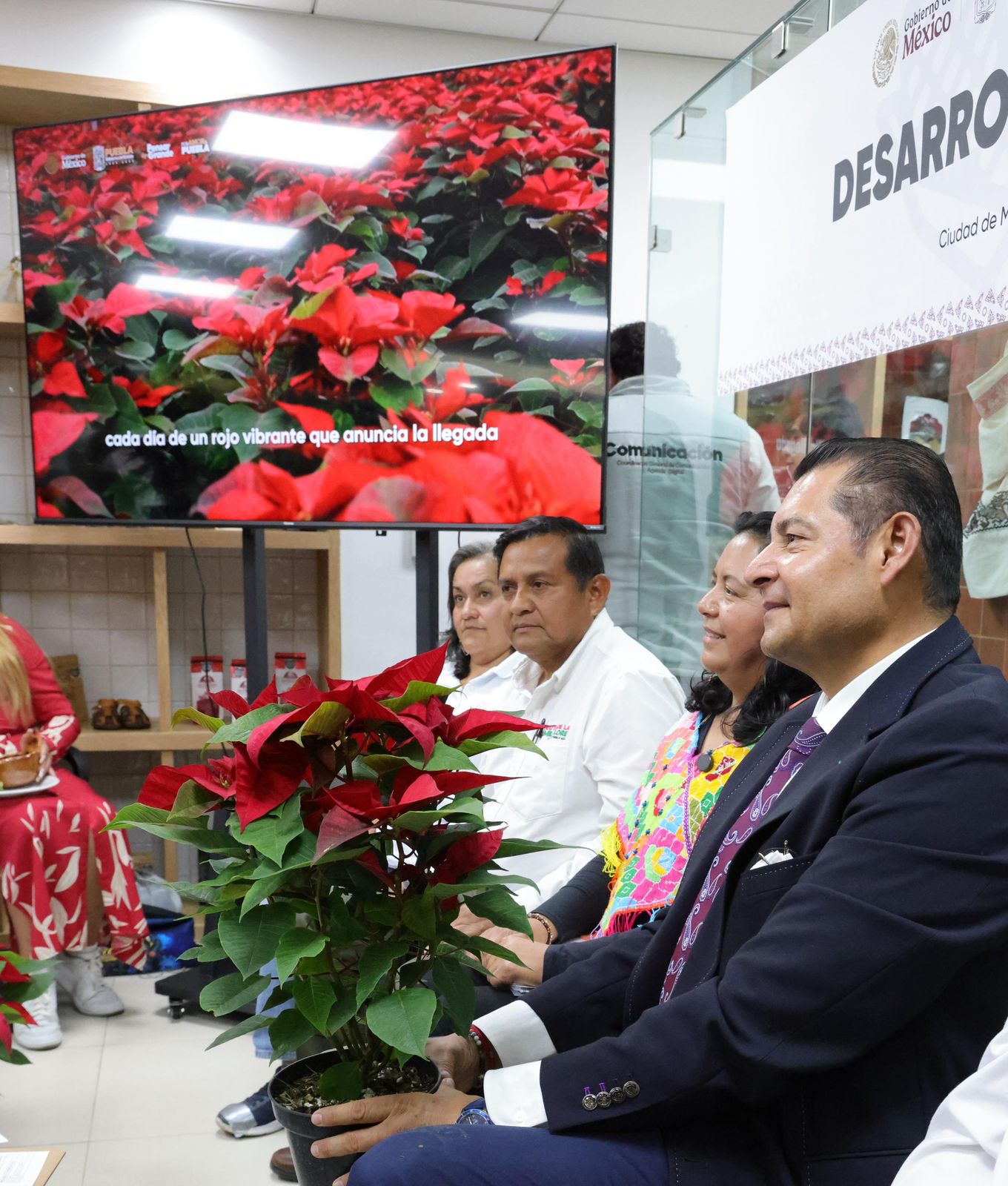 Puebla se consolida como tercer productor nacional de Nochebuena