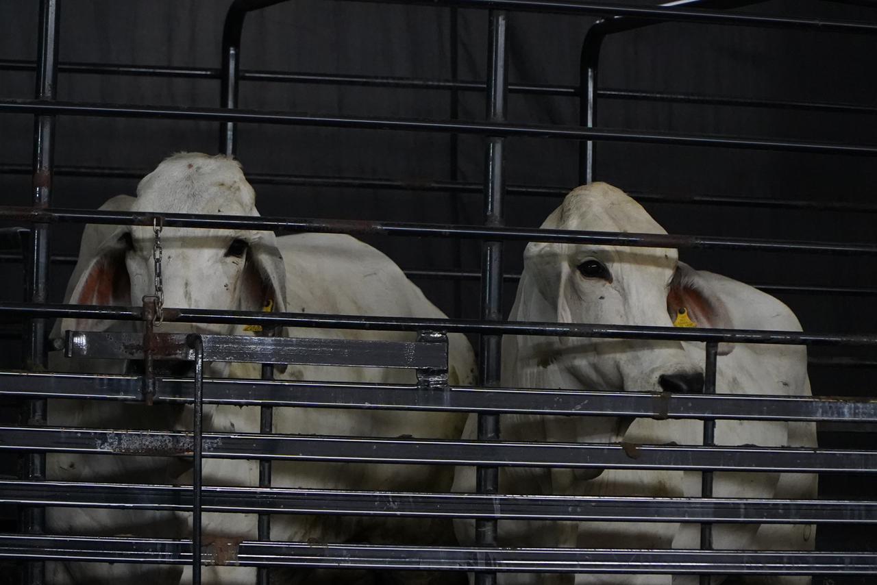 Gran entrega para transformar el campo poblano 