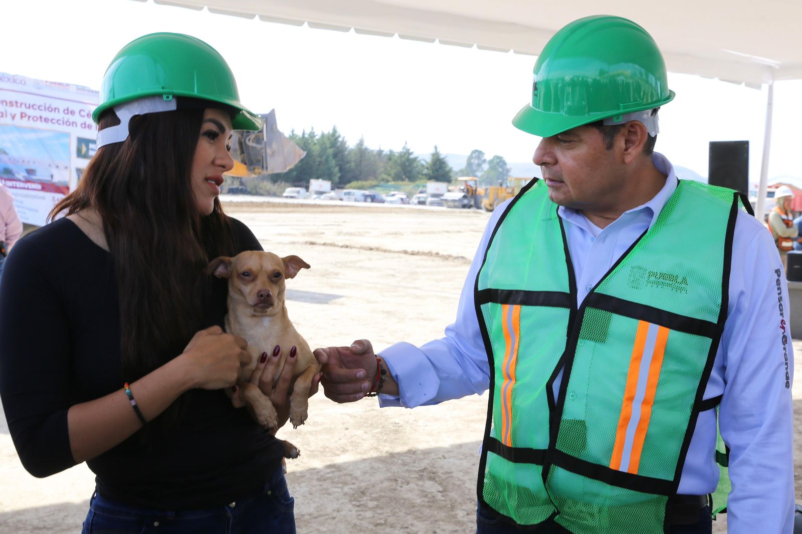 Armenta llama a frenar la compra de animales en Navidad: “Son seres sintientes”