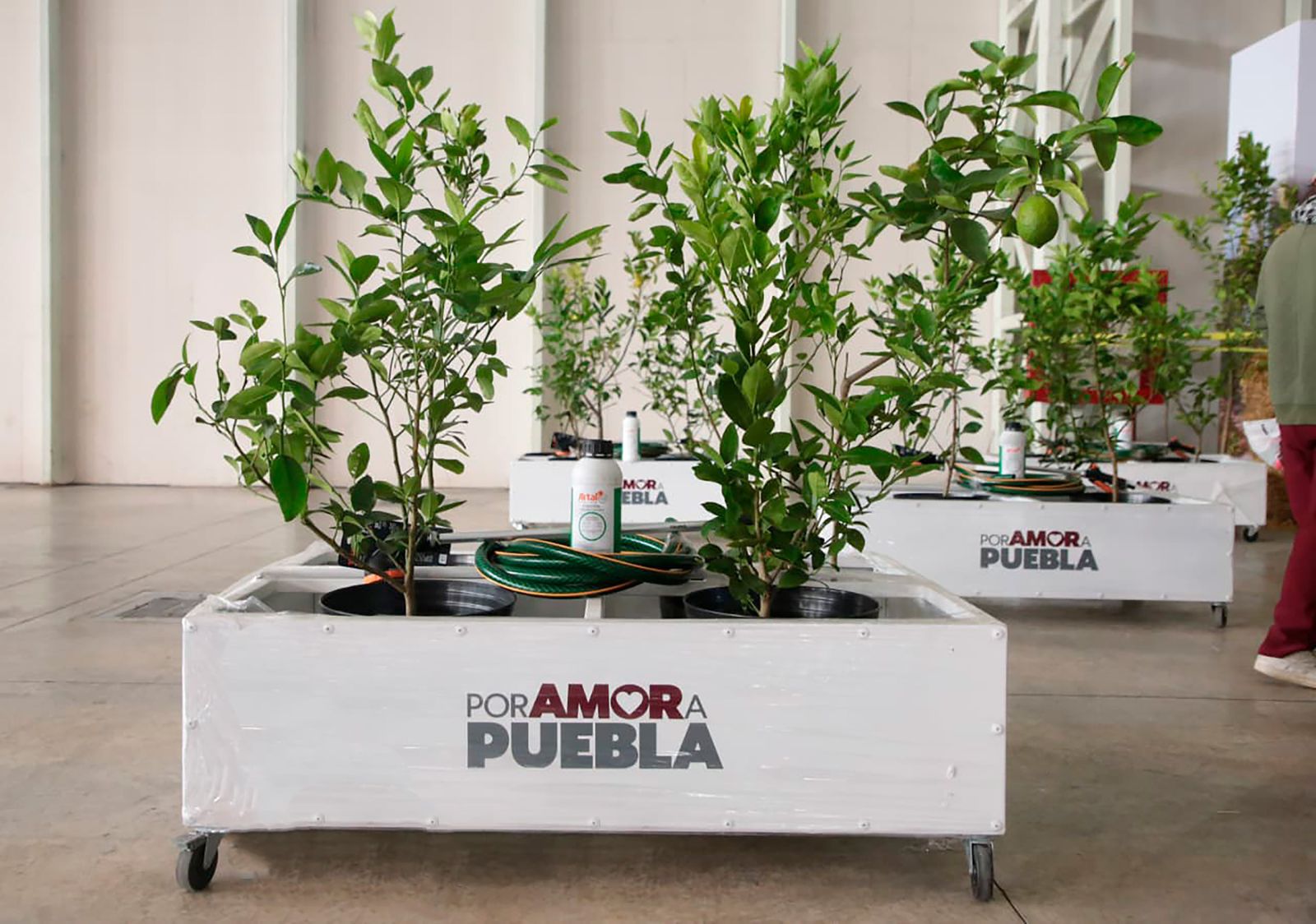 Gobierno estatal fortalece la protección de los bosques poblanos