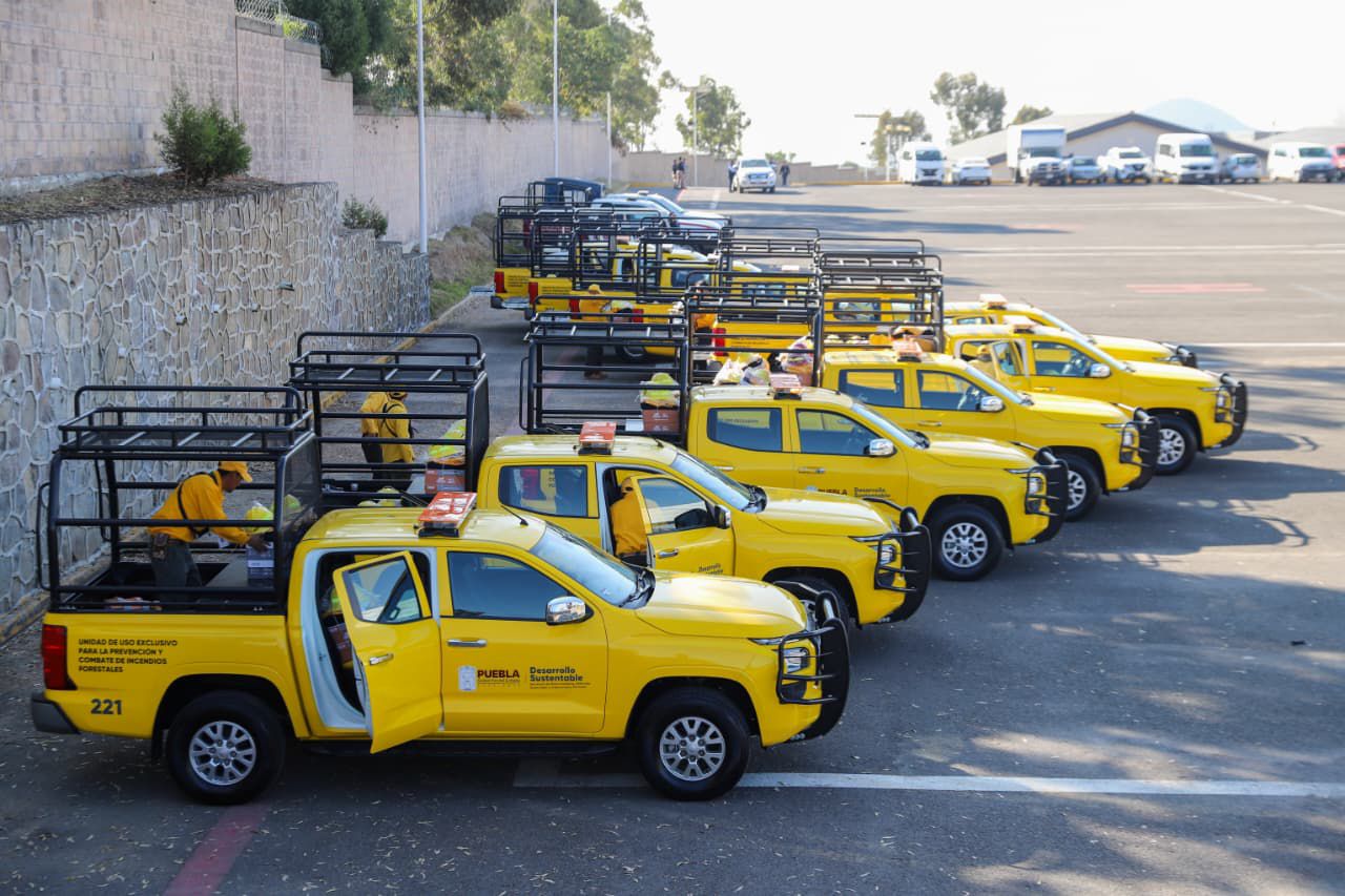 Gobierno estatal fortalece la protección de los bosques poblanos