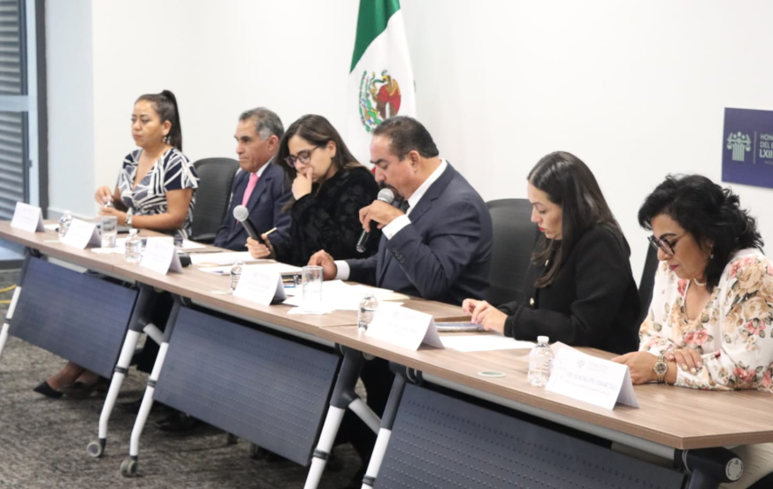 Impulsan acciones para el resguardo y adopción de perros sin hogar