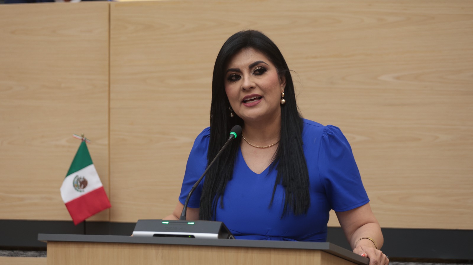 Ley Estatal de Salud Delfina Pozos Vergara