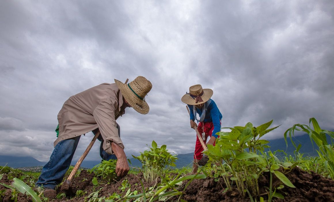 Puebla avanza con programa Seguridad para el Campo