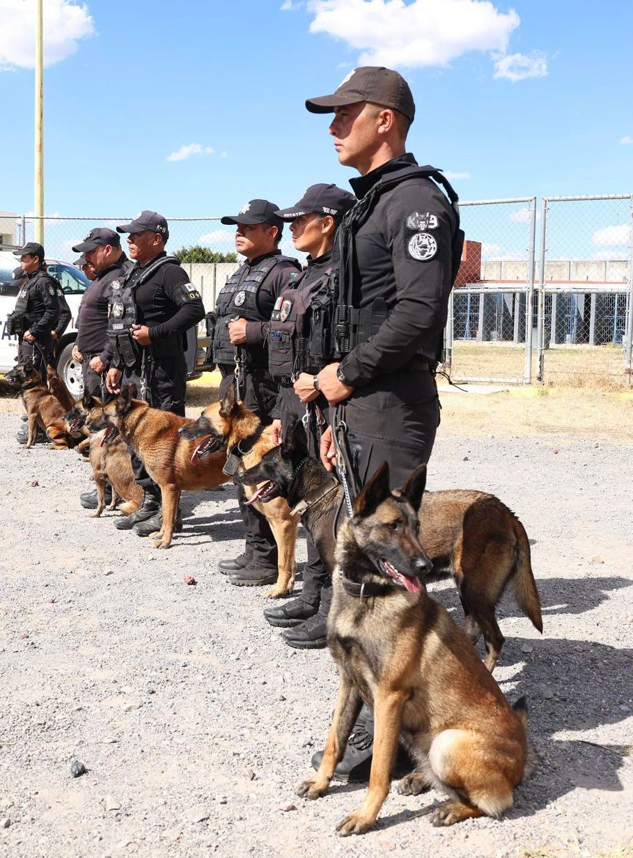 Certifican a Unidad K9 penitenciaria en detección en Puebla_foto1