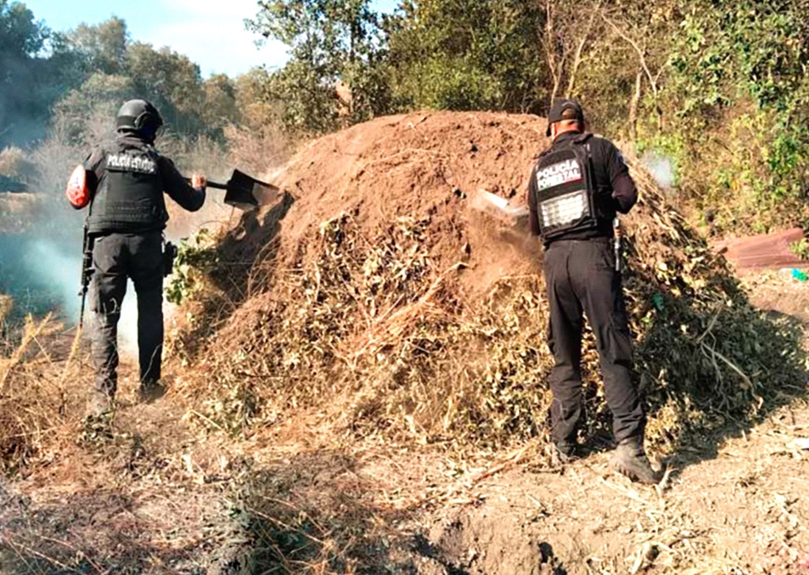 Elimina Policía Forestal seis hornos clandestinos en Puebla_foto1