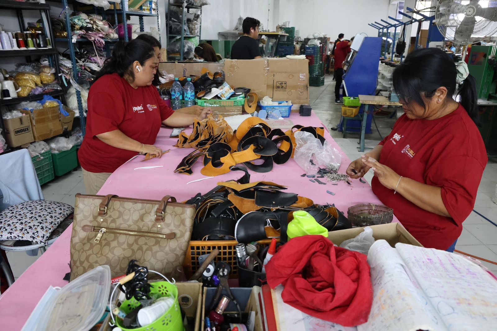 Gobierno Estatal apoya a productores de piel y calzado trabajadores