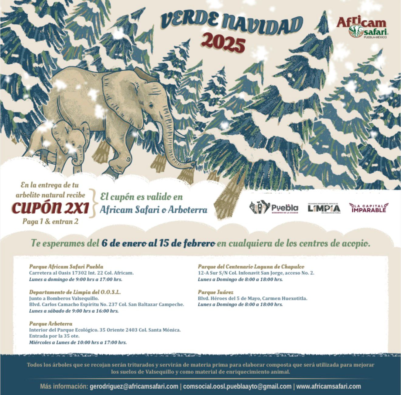 Recicla tu árbol y recibe un 2x1 para Africam Safari o Arboterra