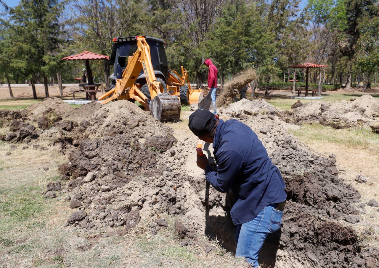 Histórica reforestación de 10 mil árboles en Puebla 