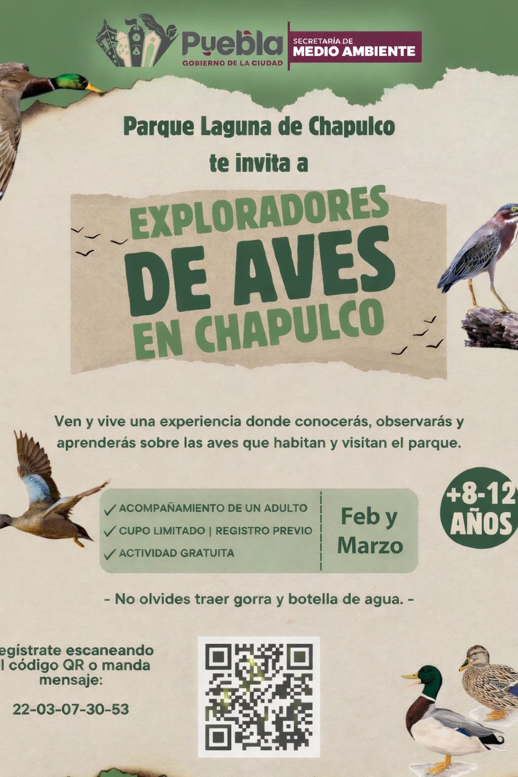 Gobierno de Puebla impulsa educación ambiental en Chapulco