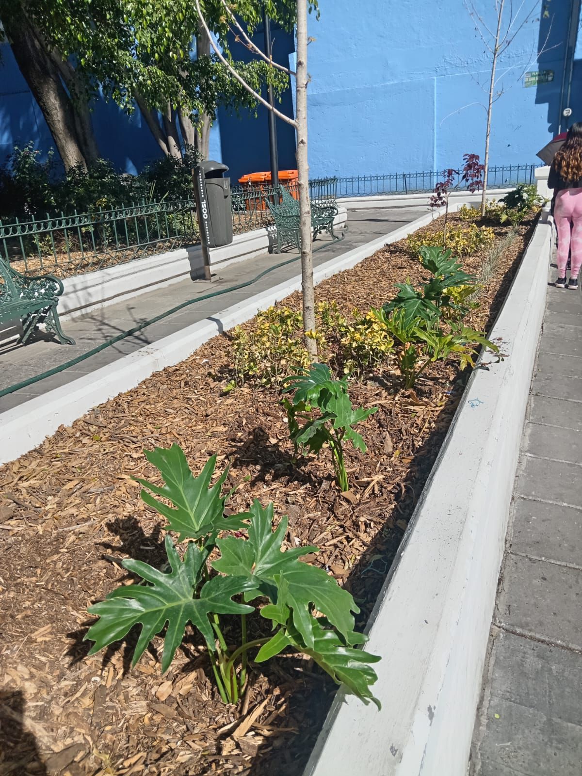 Renuevan la Plazuela Sor Juana en el Centro Histórico
