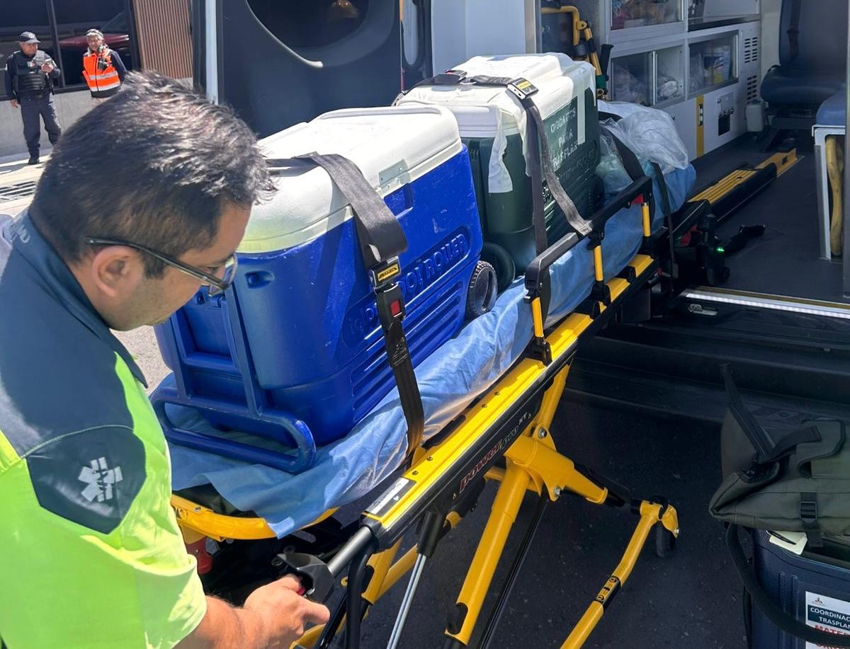 Puebla coordina traslado aéreo de dos hígados a la Ciudad de México para trasplantes