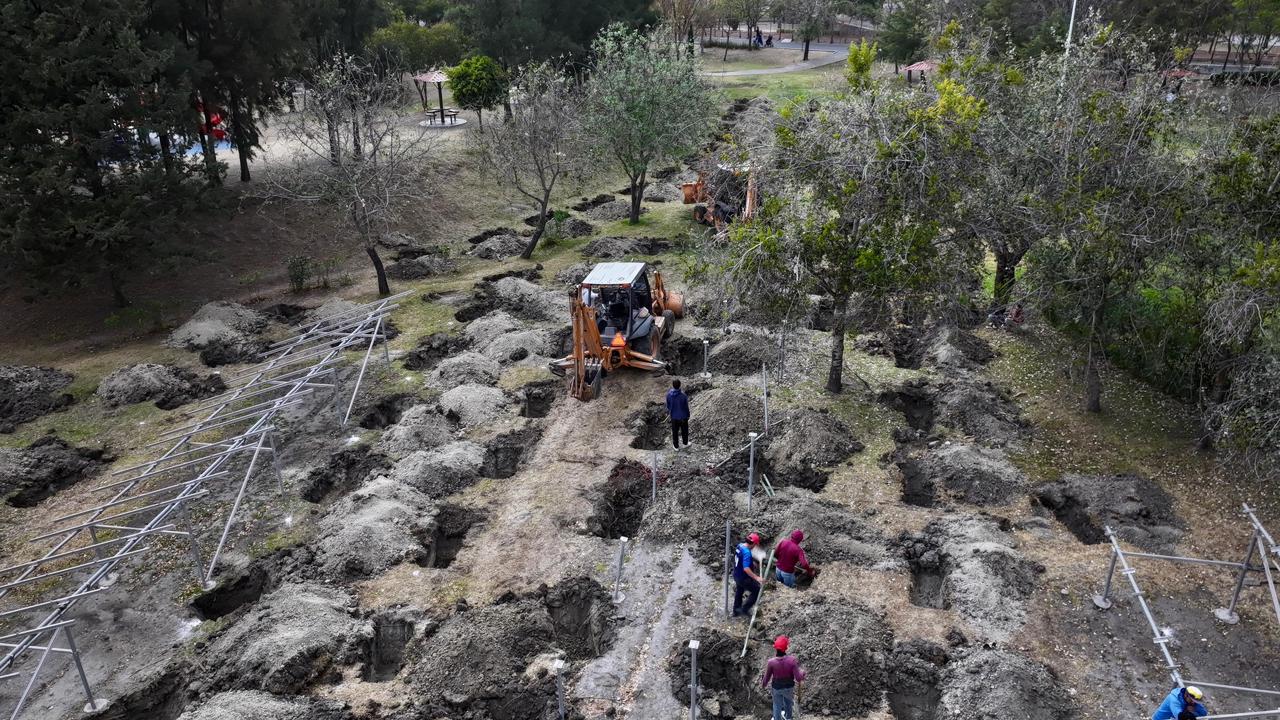 Histórica reforestación de 10 mil árboles en Puebla 