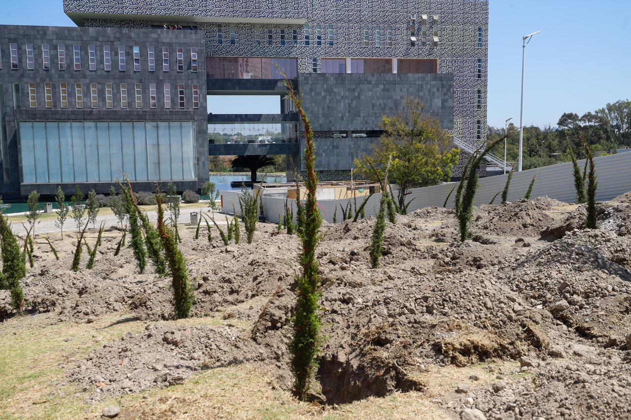 Histórica reforestación de 10 mil árboles en Puebla 
