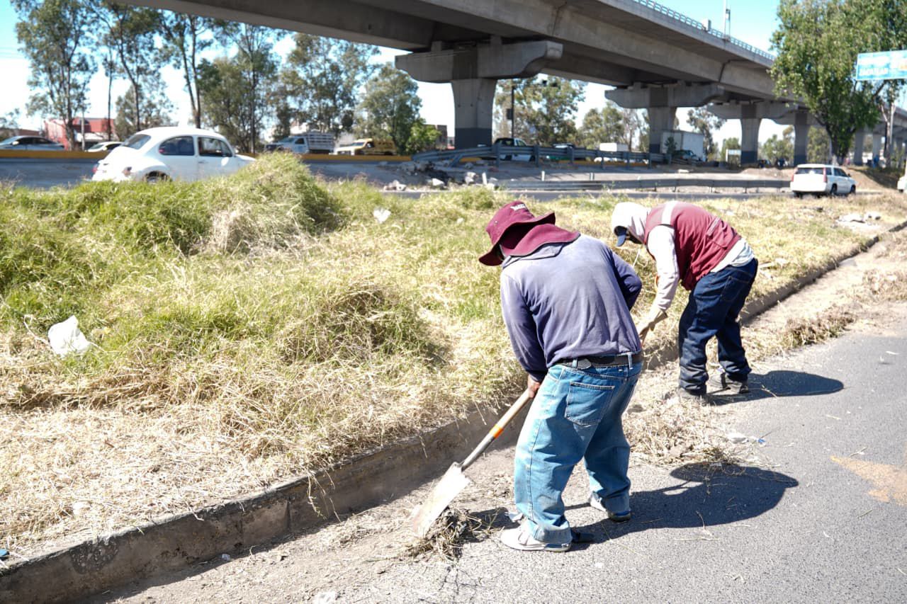 Mantenimiento a áreas verdes en Puebla