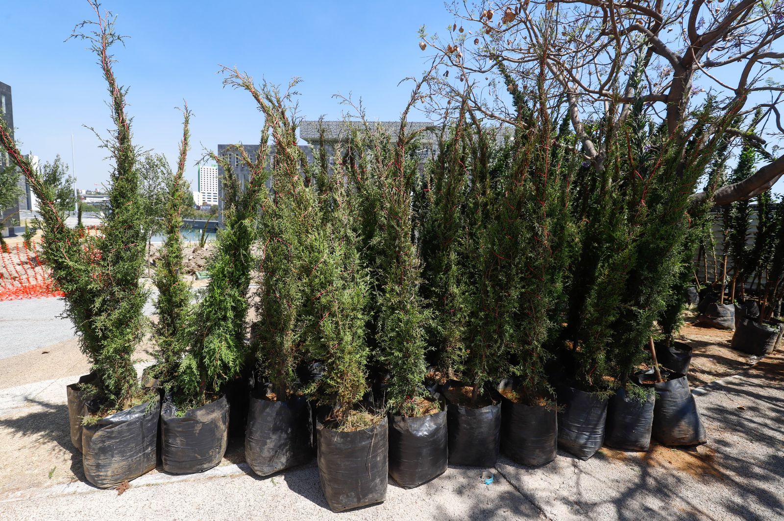 Cinturón verde protegerá a Puebla