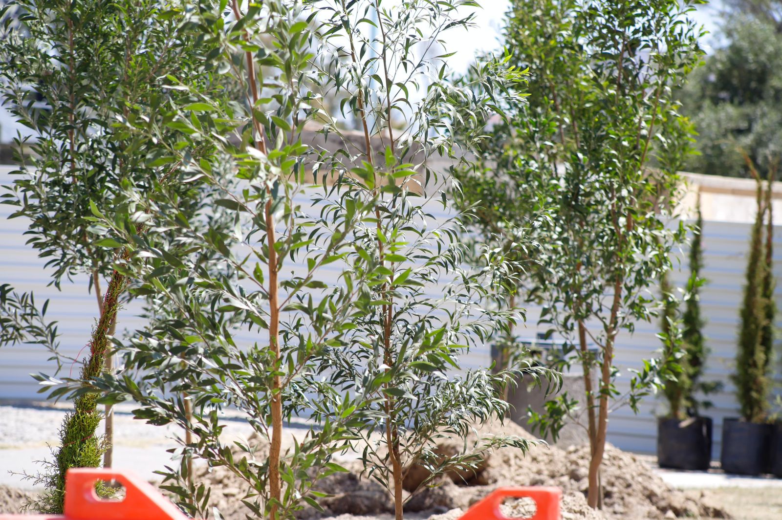 Cinturón verde protegerá a Puebla