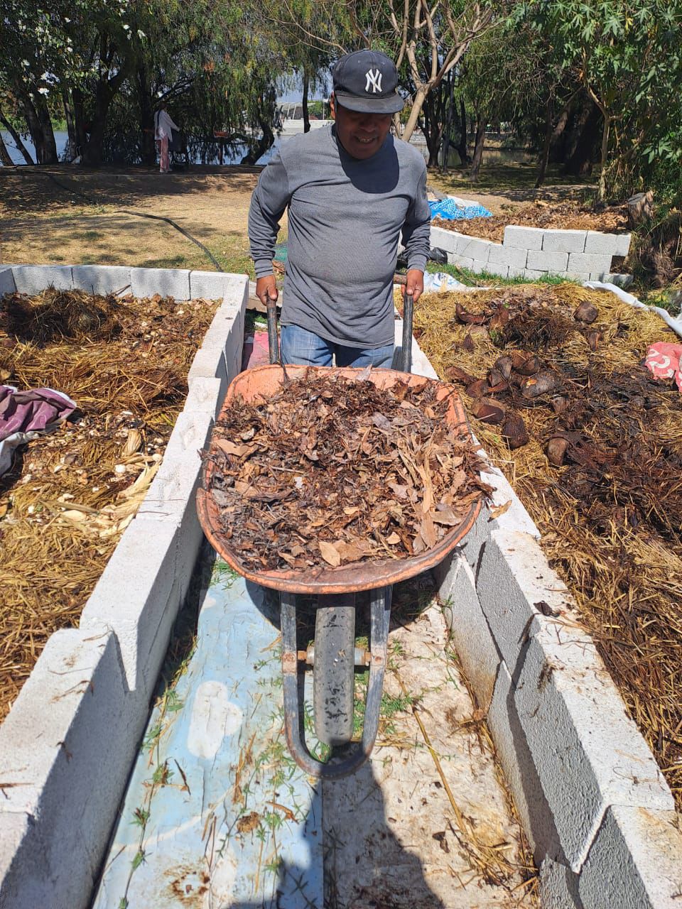 Arranca proyecto de lombricomposta en Chapulco para aprovechar residuos orgánico carretilla