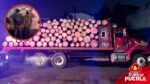 Detienen a dos hombres por transportar madera ilegal en Teziutlán