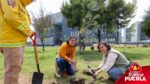 Gobierno y ambientalistas ayudan a reforestar el CIS de Angelópolis