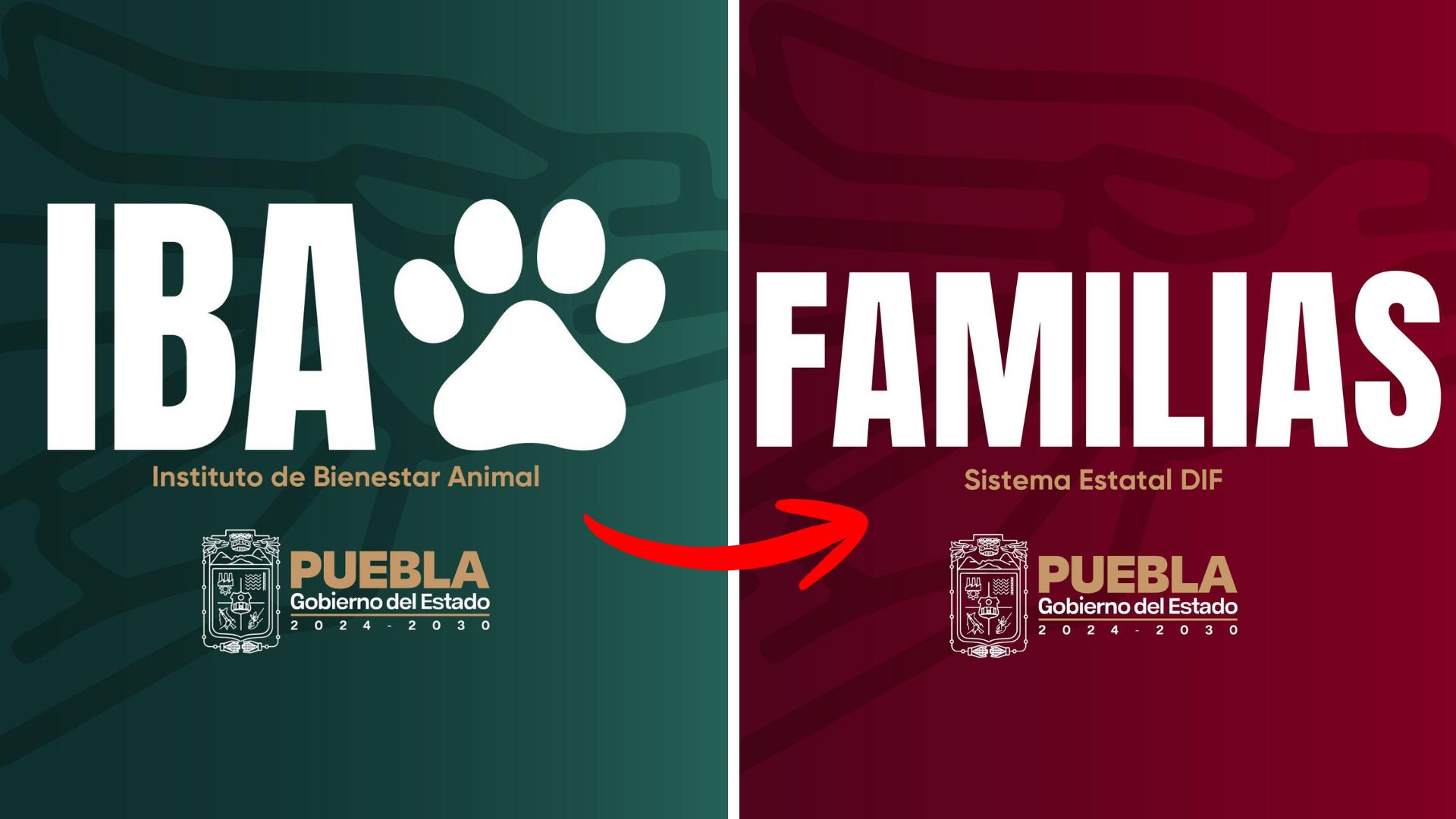 SEDIF asumirá Bienestar Animal en Puebla