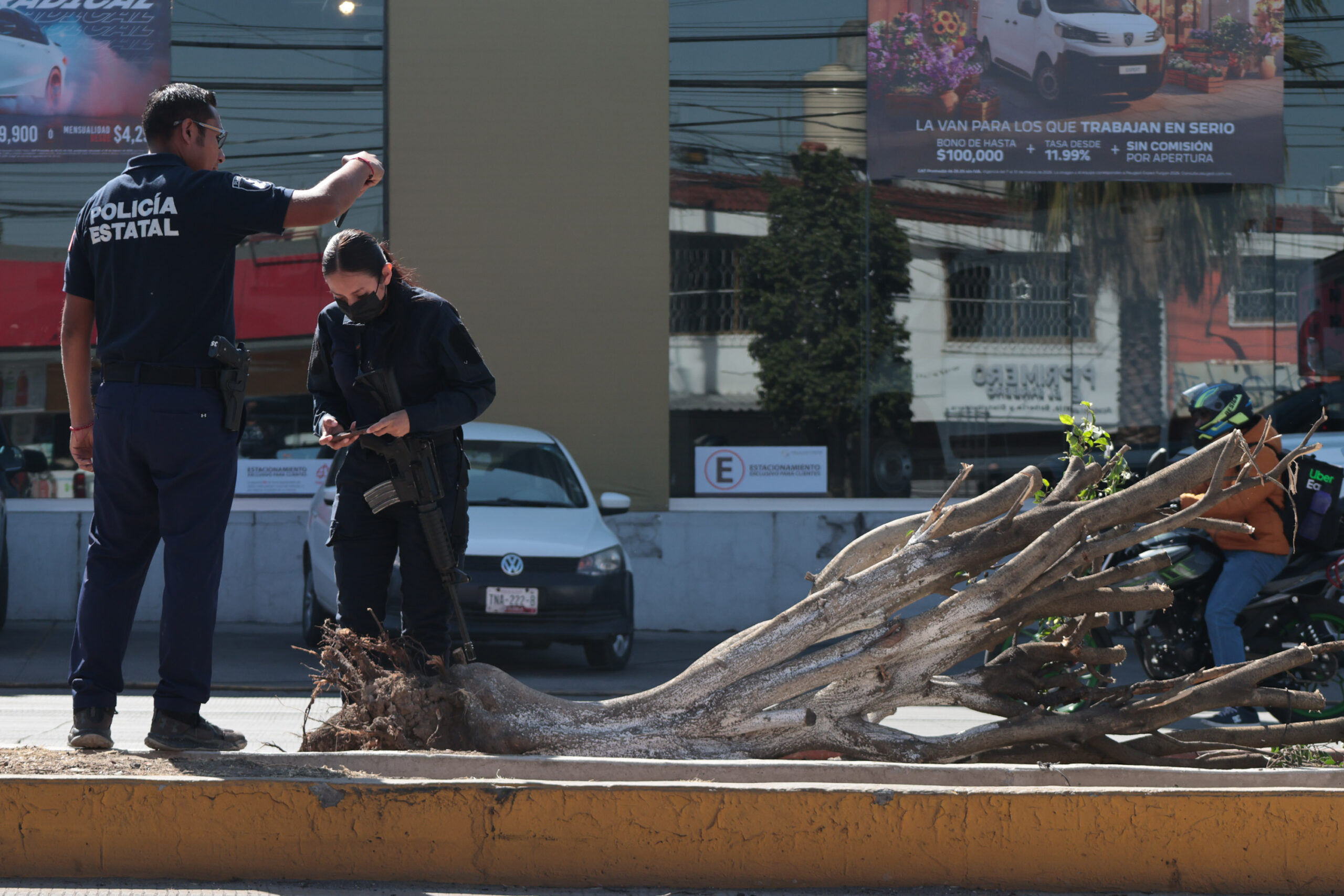 Opositores derrumban arboles en calzada Zaragoza Estatal
