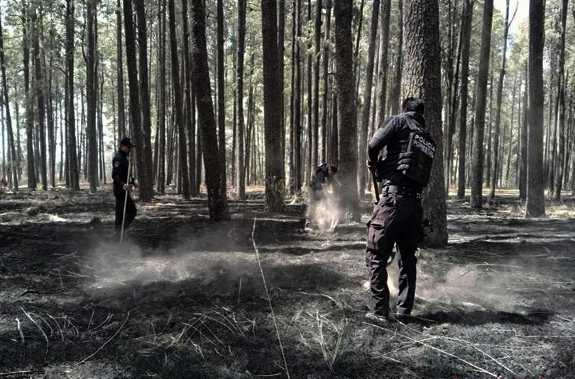 Policía Estatal controla incendios en Puebla y Tepatlaxco_foto1