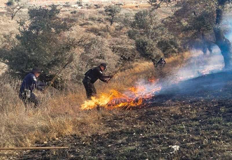 Policía Estatal controla incendios en Puebla y Tepatlaxco_foto2