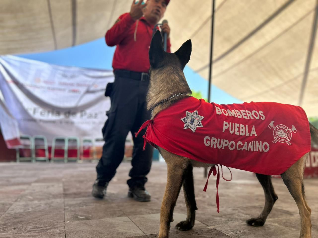 Realizarán talleres y Feria de la Paz en la Sierra Norte de Puebla´perro