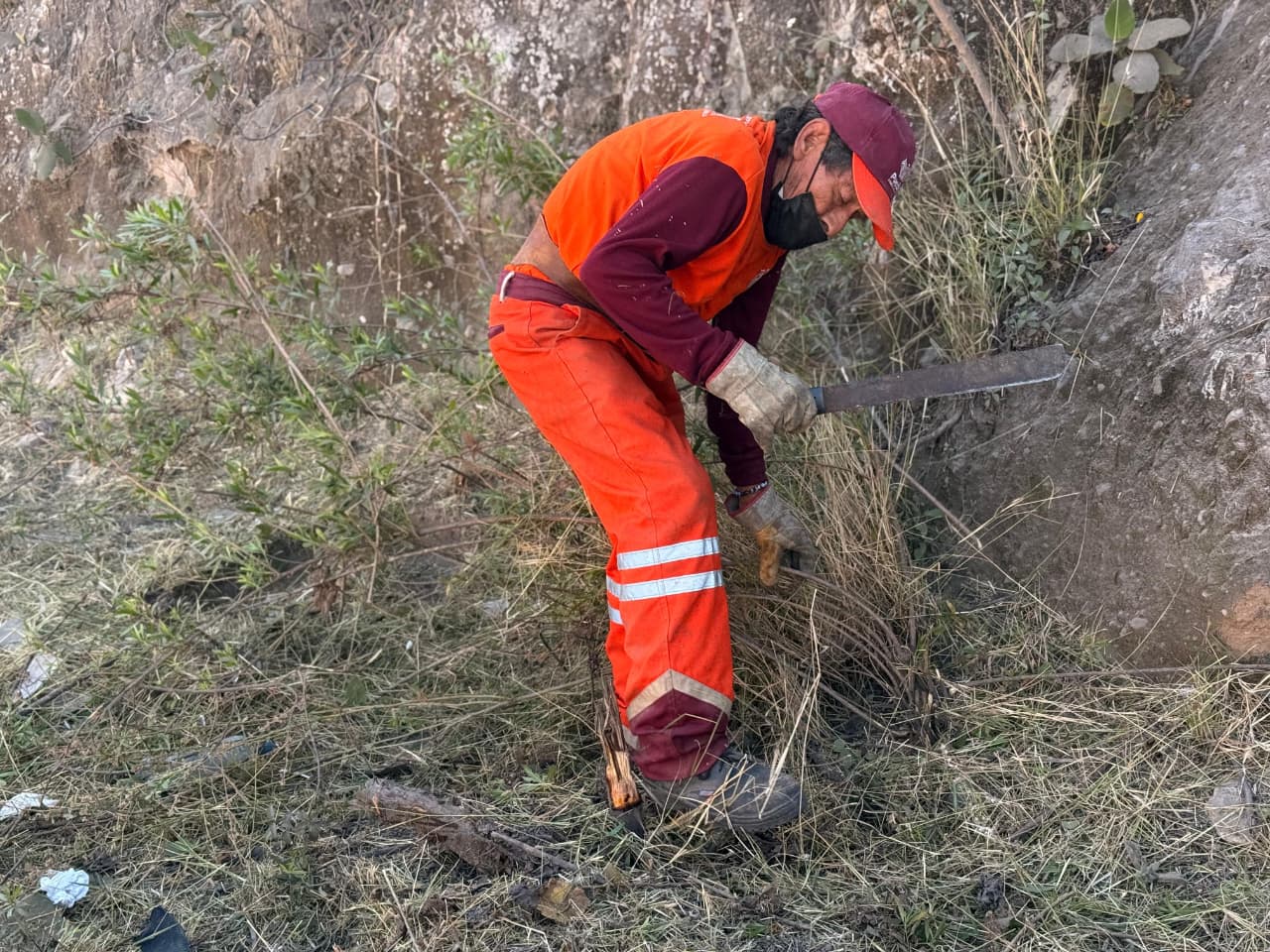 Gobierno de la Ciudad interviene integralmente el Bulevar Carmelitas