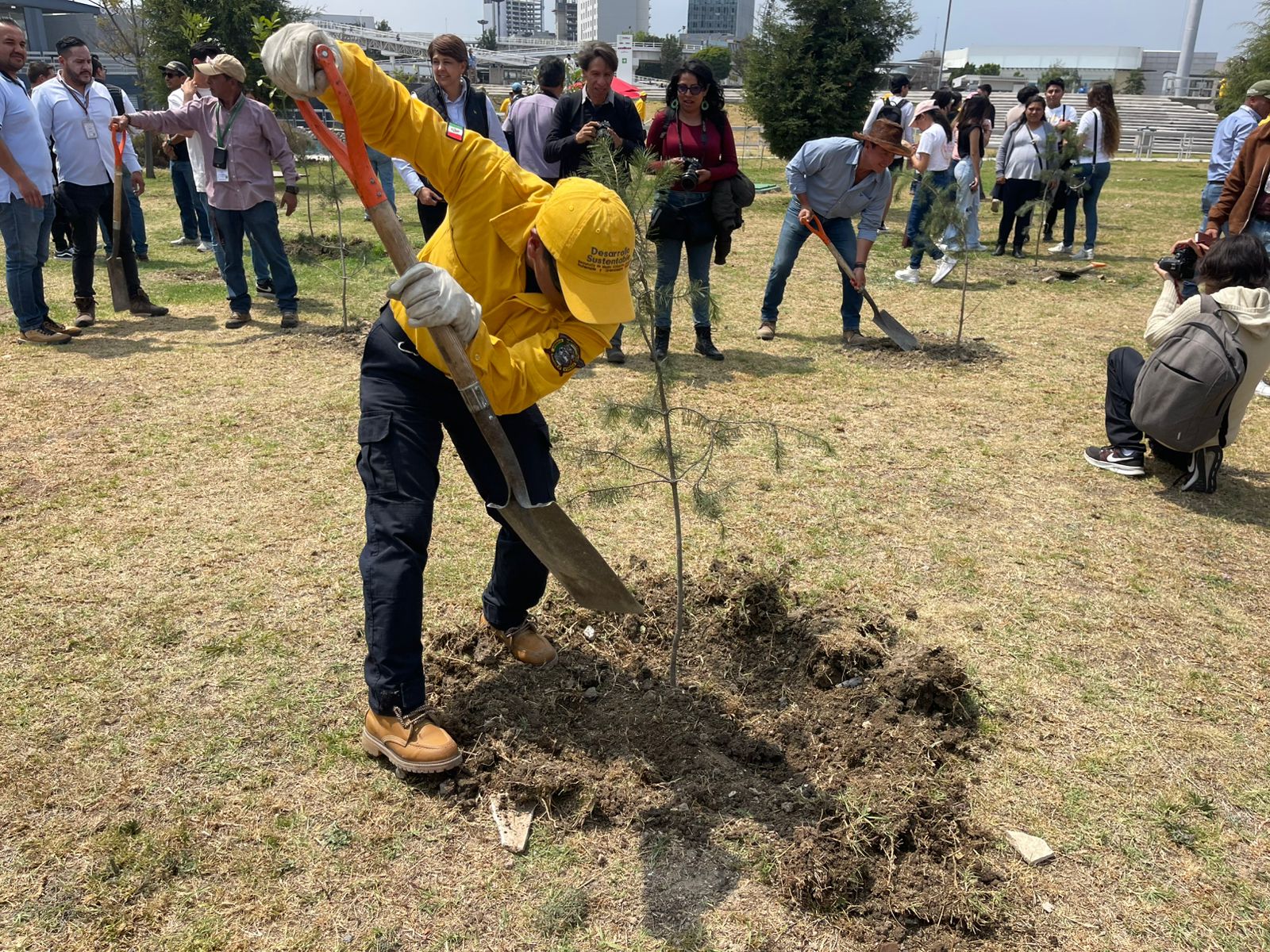 Reajustan reforestación en zona del CIS Angelópolis