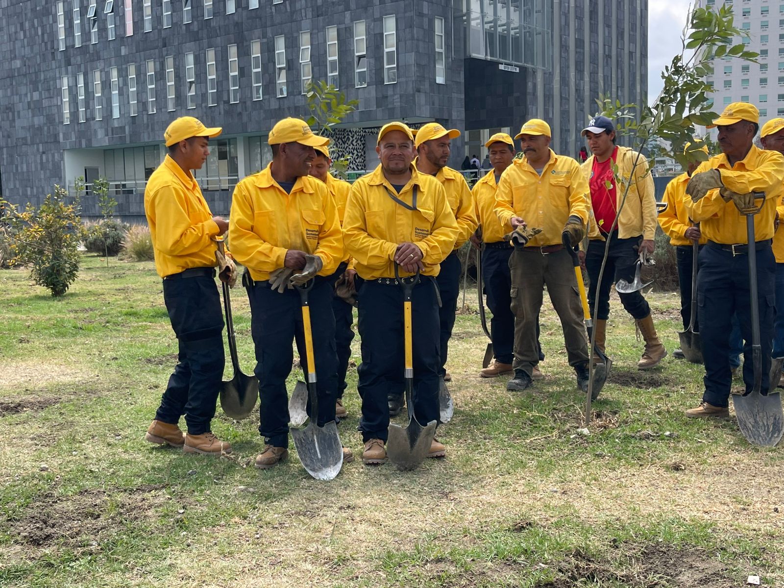 Reajustan reforestación en zona del CIS Angelópolis