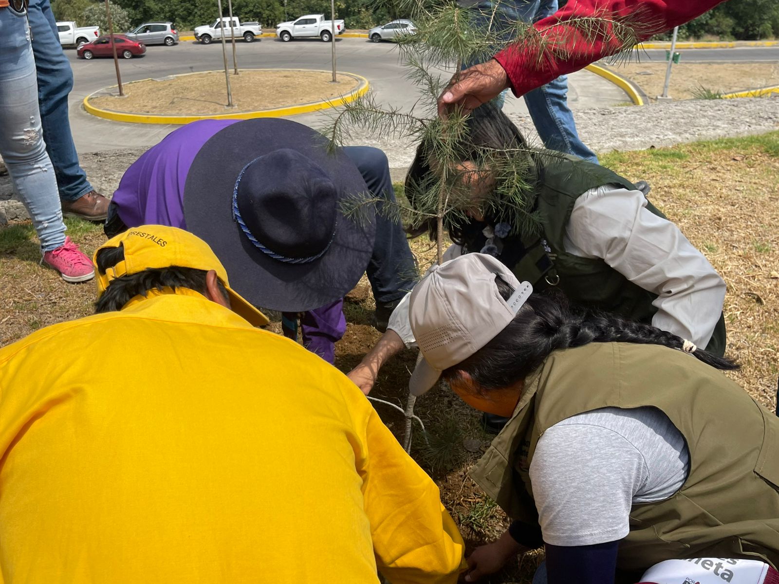 Reajustan reforestación en zona del CIS Angelópolis