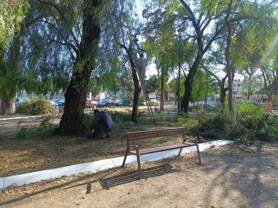 Mantenimiento a áreas verdes en Puebla