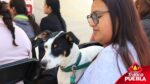Jornadas de bienestar animal en la ciudad