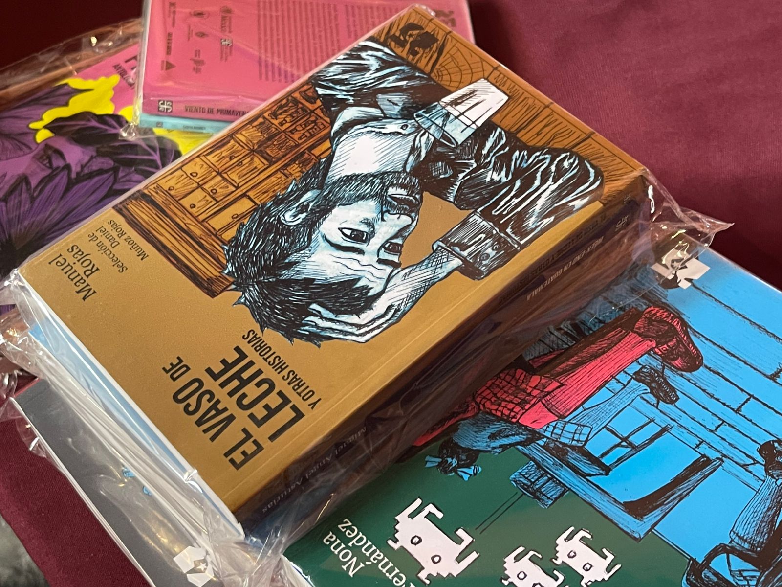 Puebla impulsa lectura y arte con 20 mil libros