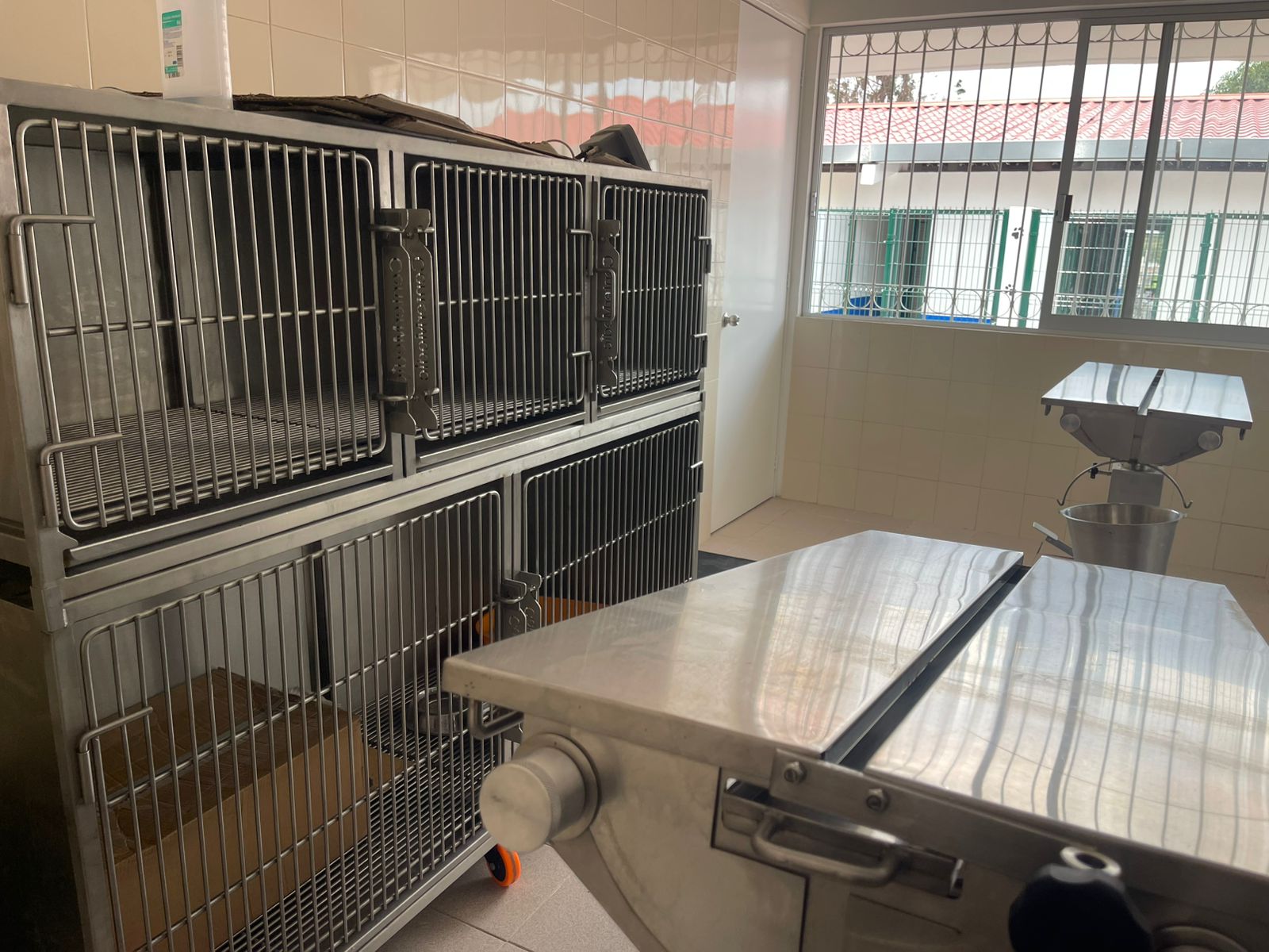 Cuautlancingo fortalece bienestar animal