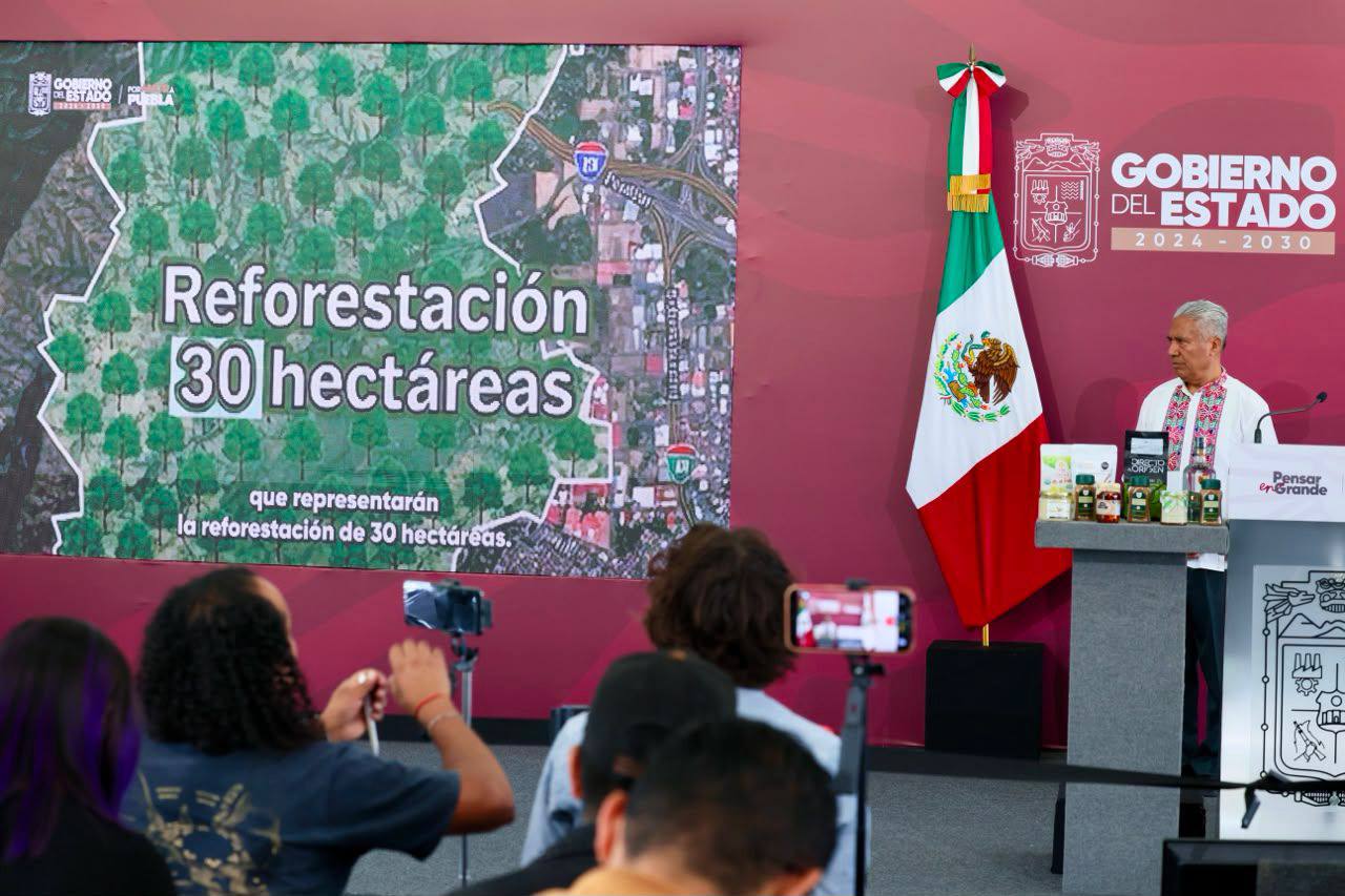 Reforestarán mil escuelas con programa ambiental